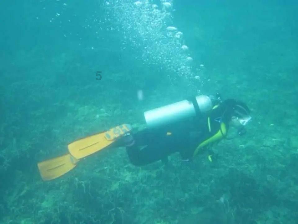 熊出没百层大冒险